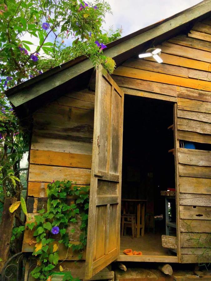 Montagnards Home Farm - Ca Phe Nha San Dak Mil Duc Lap Exteriör bild